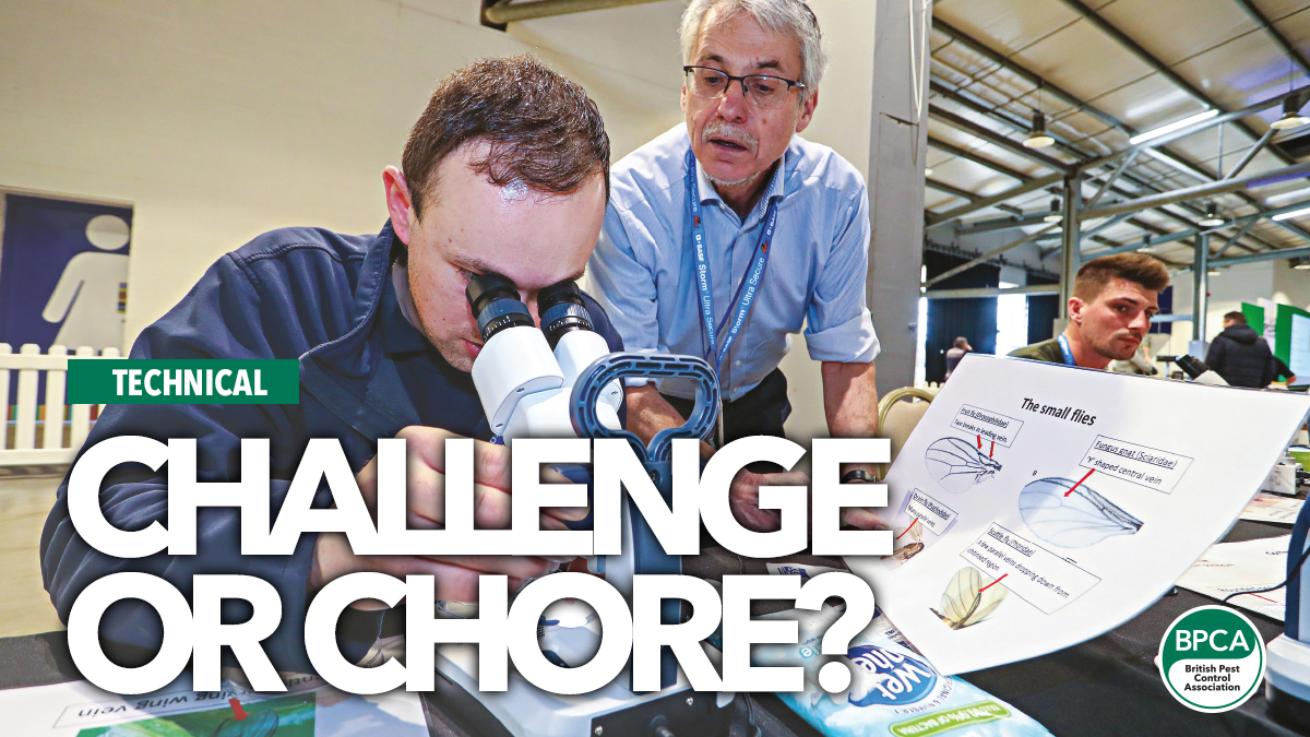 challenge-or-chore challenge-or-chore
